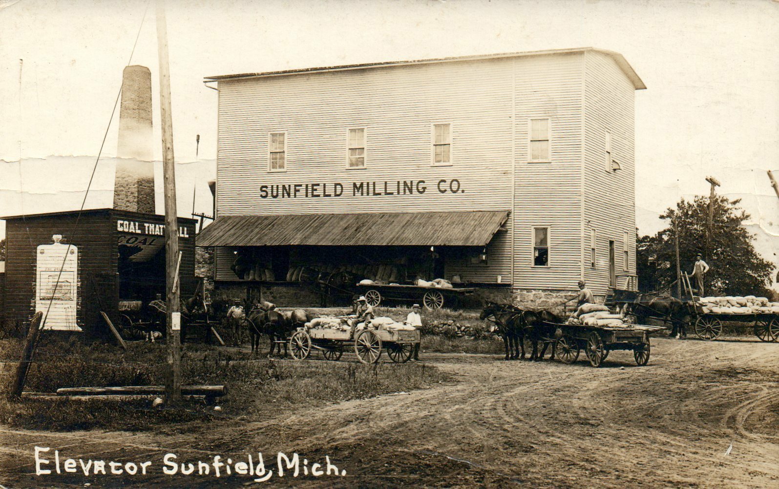 Sunfield Milling Co Elevator Horse and Carriage Sunfield Michigan MI Postcard