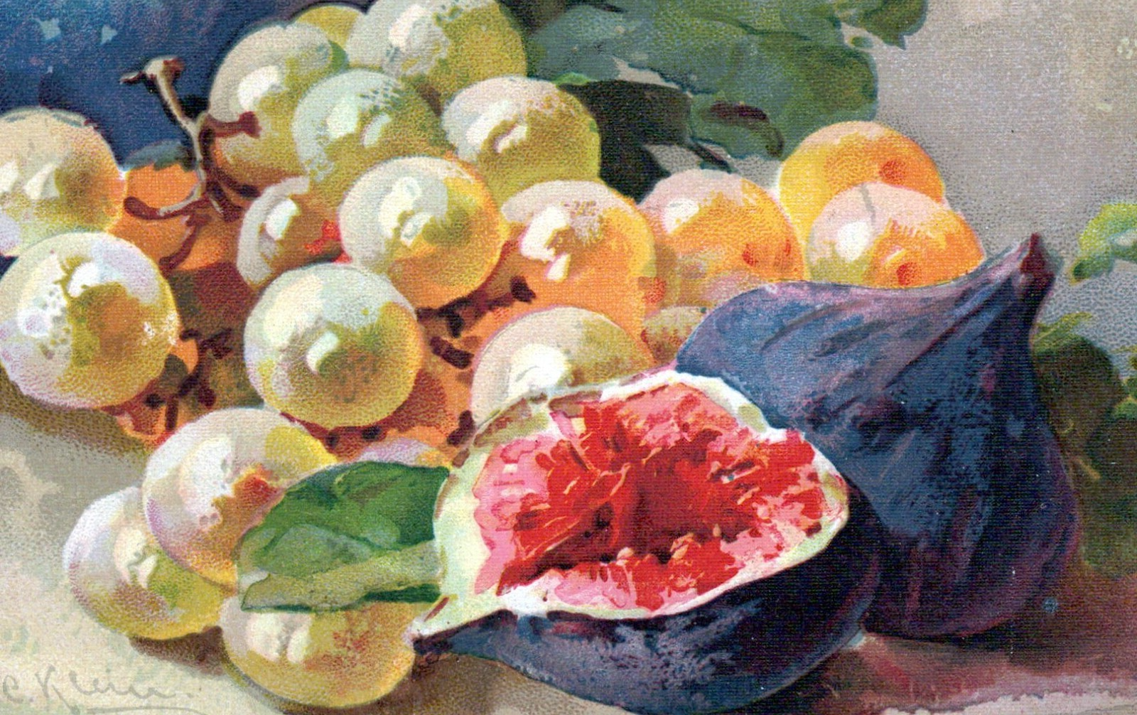 Vintage Caroline Klein Artist Signed Fruit White Grapes Grapefruit Post Card