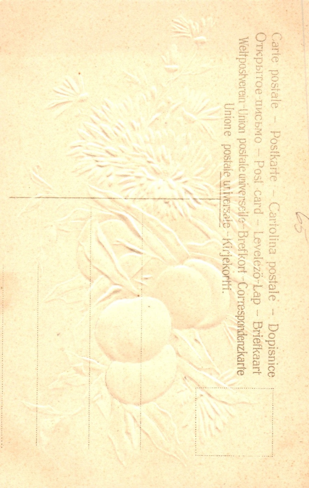 Artist  Catherine Klein Flowers and Fruit