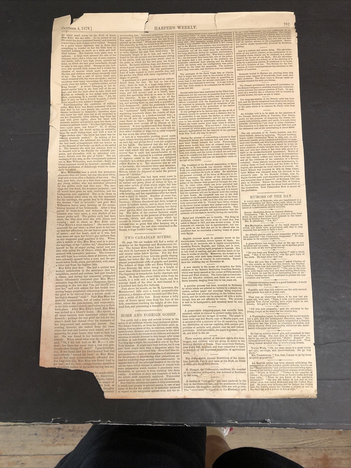 1879 Harpers Weekly - Nast - Hoffman resigns both Tilden and the Tammany Ring