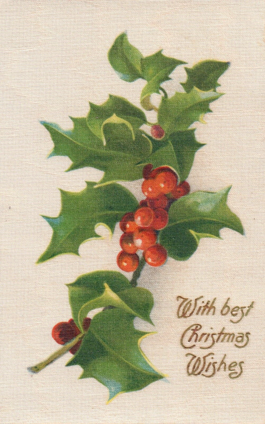 John Winsch With Best Christmas Wishes Silk Holly Vintage Postcard
