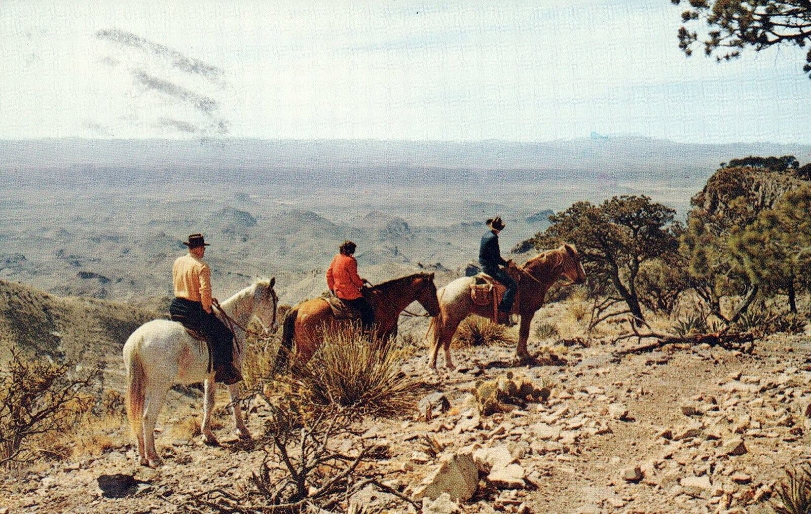Panorama From The South Rim in Big Bend National Park Tex Texas TX Postcard