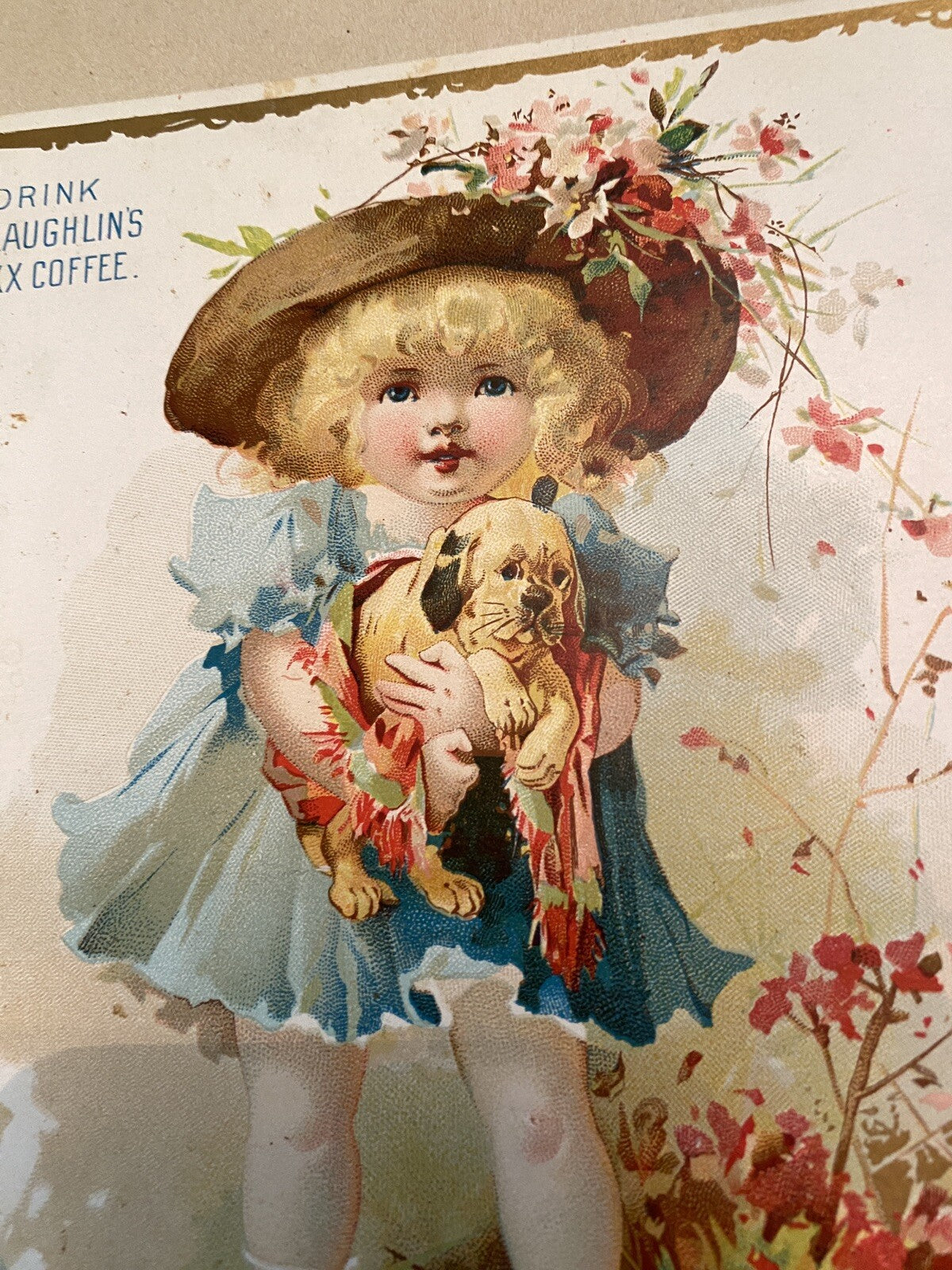 Mclaughlin's coffee Trade Trading Advertising Card girl Dog 7 x 5.5"