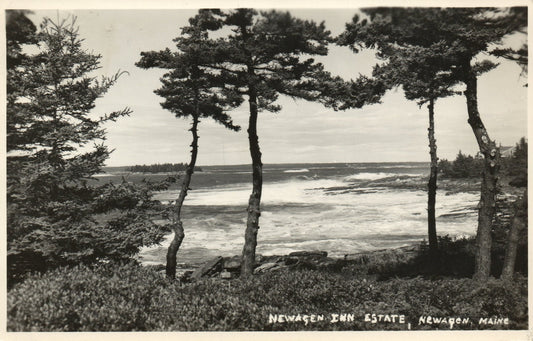 1949 Real Photo Newagen Inn Estate Newagen Maine ME Scenic Water View Postcard