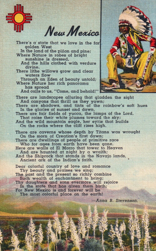 New Mexico Indian Man with Passage By Anna B. Stevenson NM New Mexico Postcard