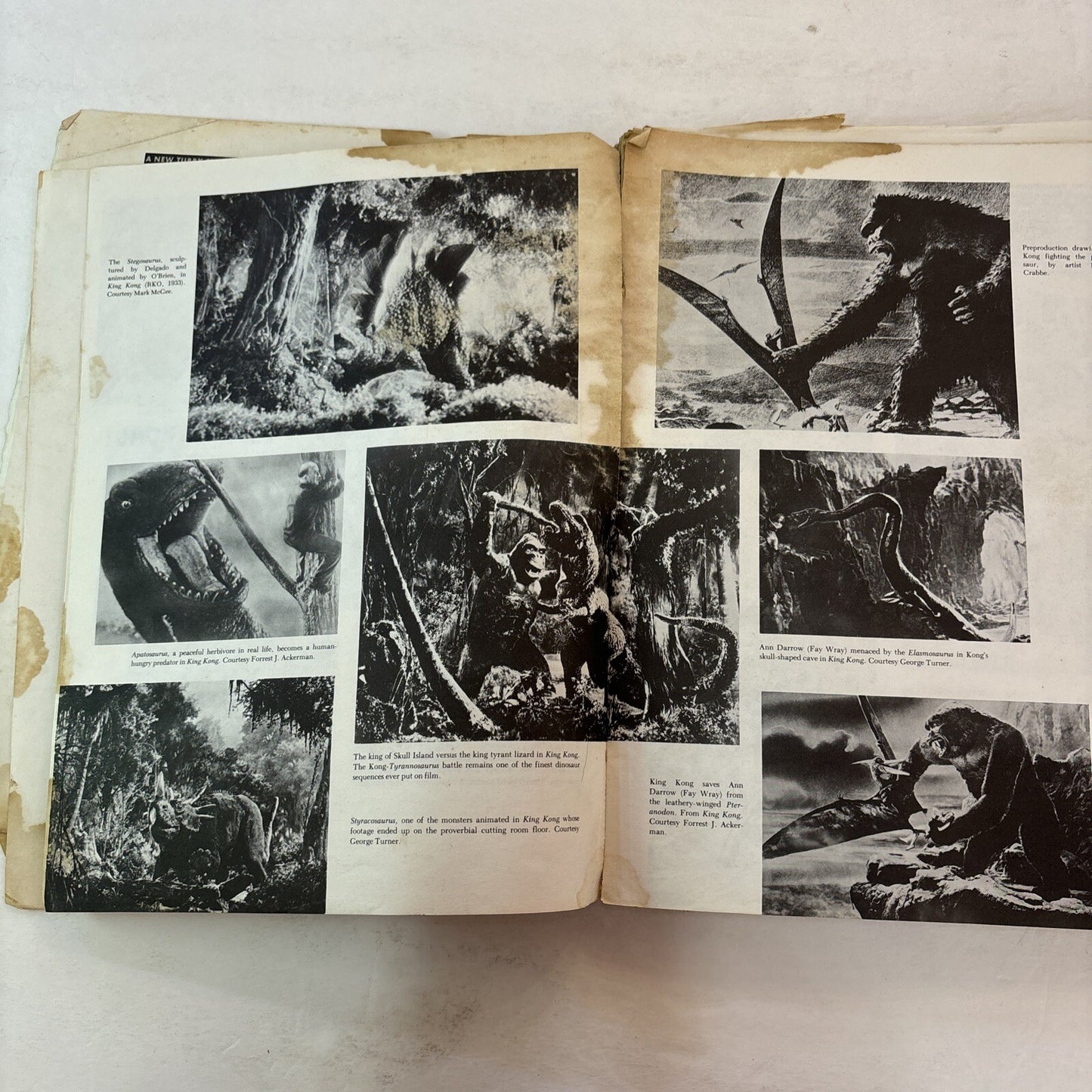 THE DINOSAUR SCRAPBOOK Book B&W Illustrated Donald Glut