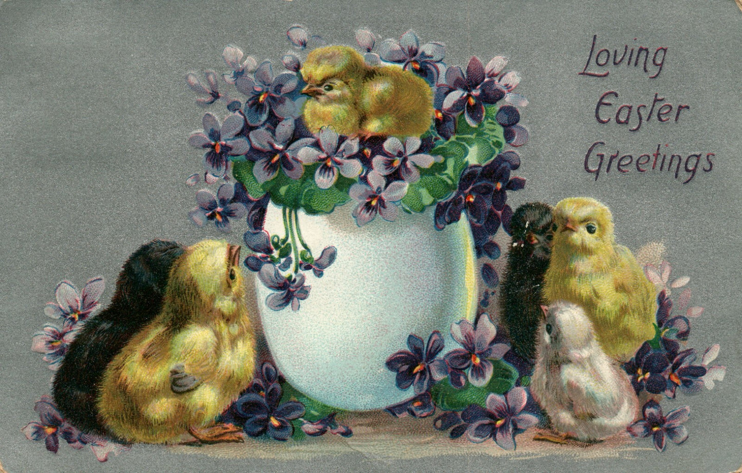 1910 Raphael Tuck Easter Series 701 Chicks Egg Violets Greetings Postcard 