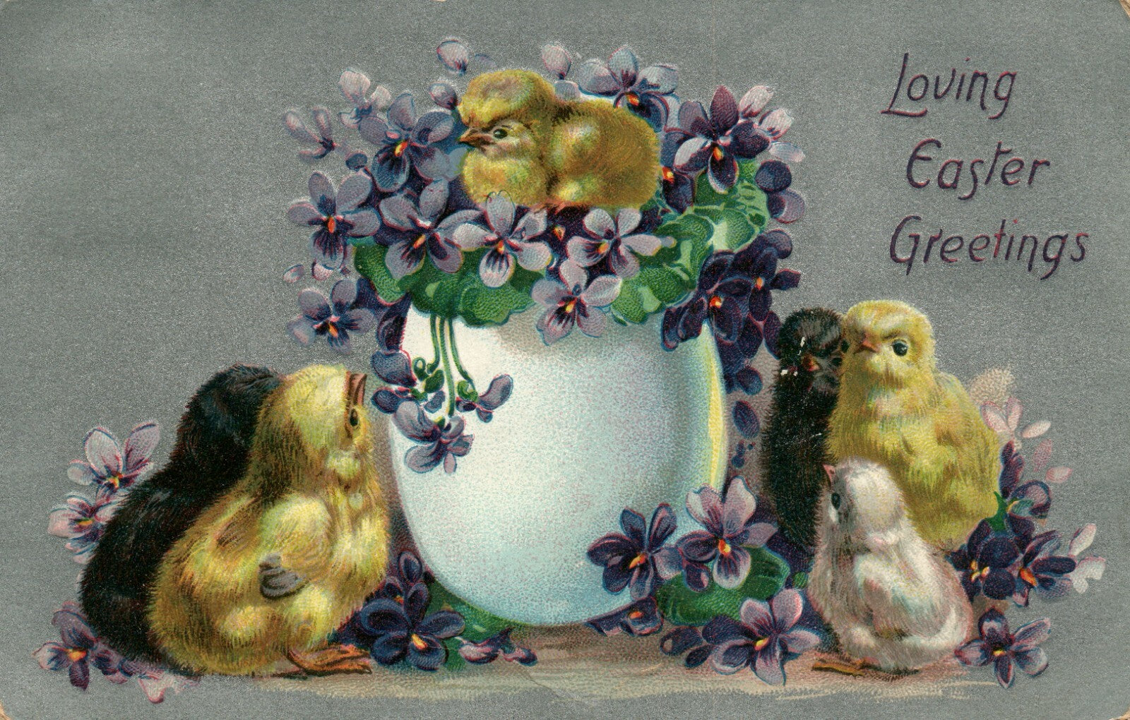 1910 Raphael Tuck Easter Series 701 Chicks Egg Violets Greetings Postcard 
