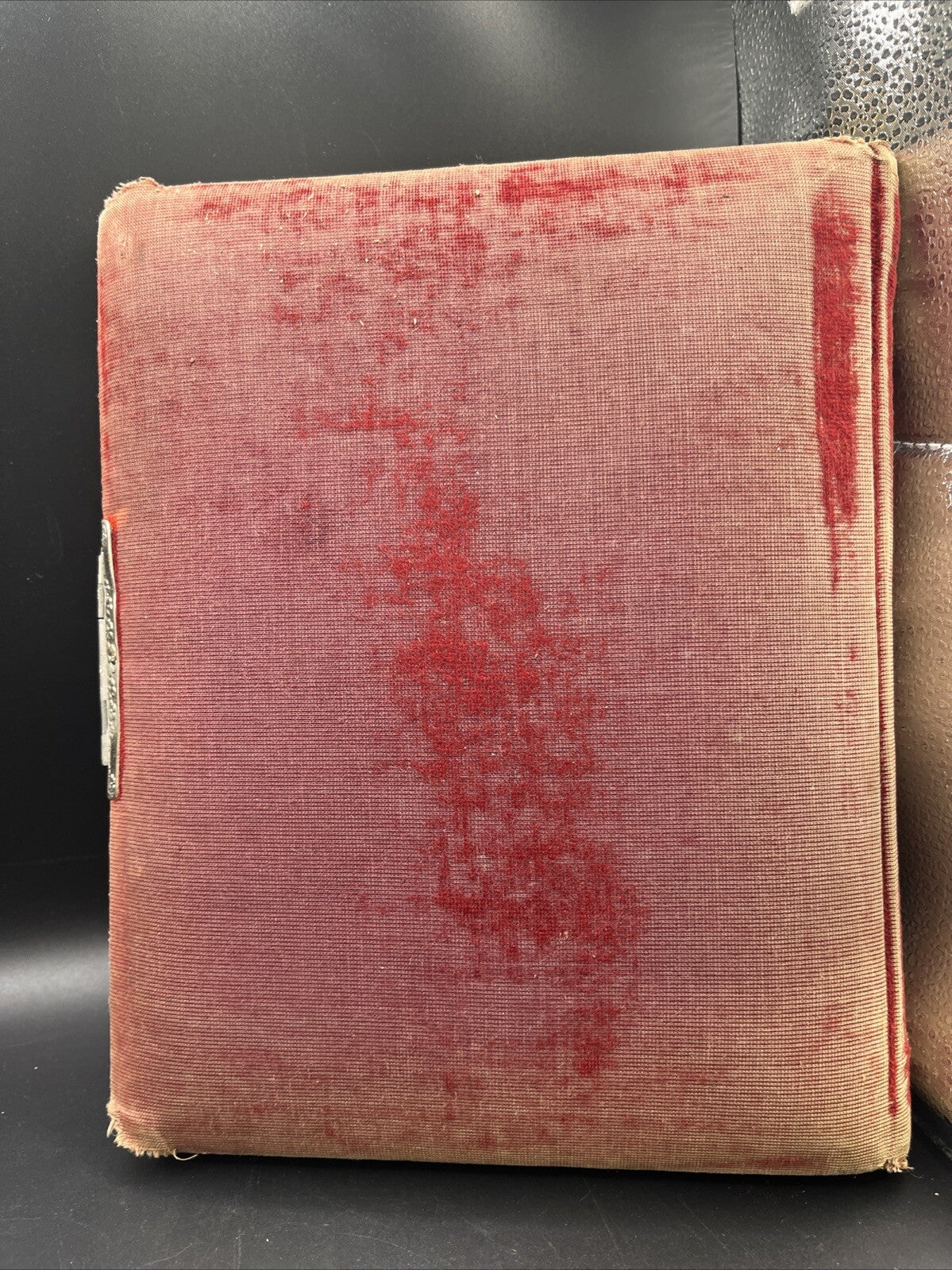 Antique Victorian Celluloid Photo Album