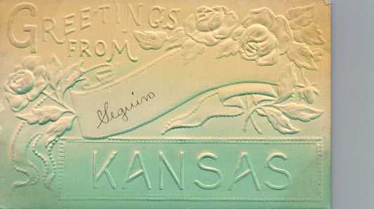 Heavy Embossed Floral Greetings from Seguin Kansas KS Postcard  