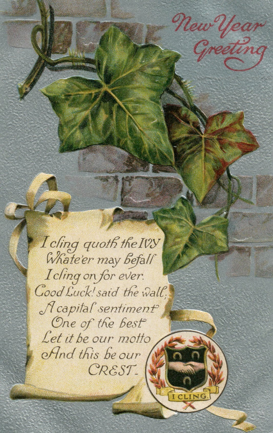 Ivy Wall I Cling Crest International Art Publishing Co Happy New Year Postcard
