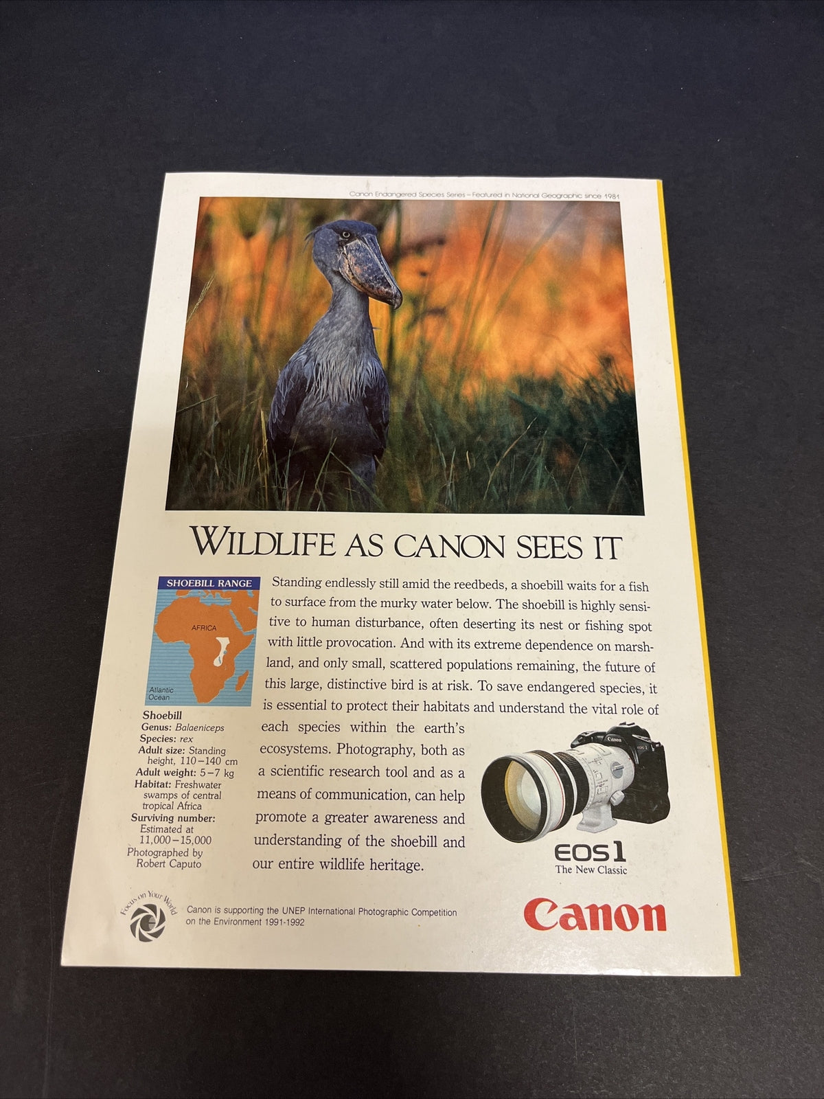 February 1992 National Geographic Magazine "Eastern Wildlife" 