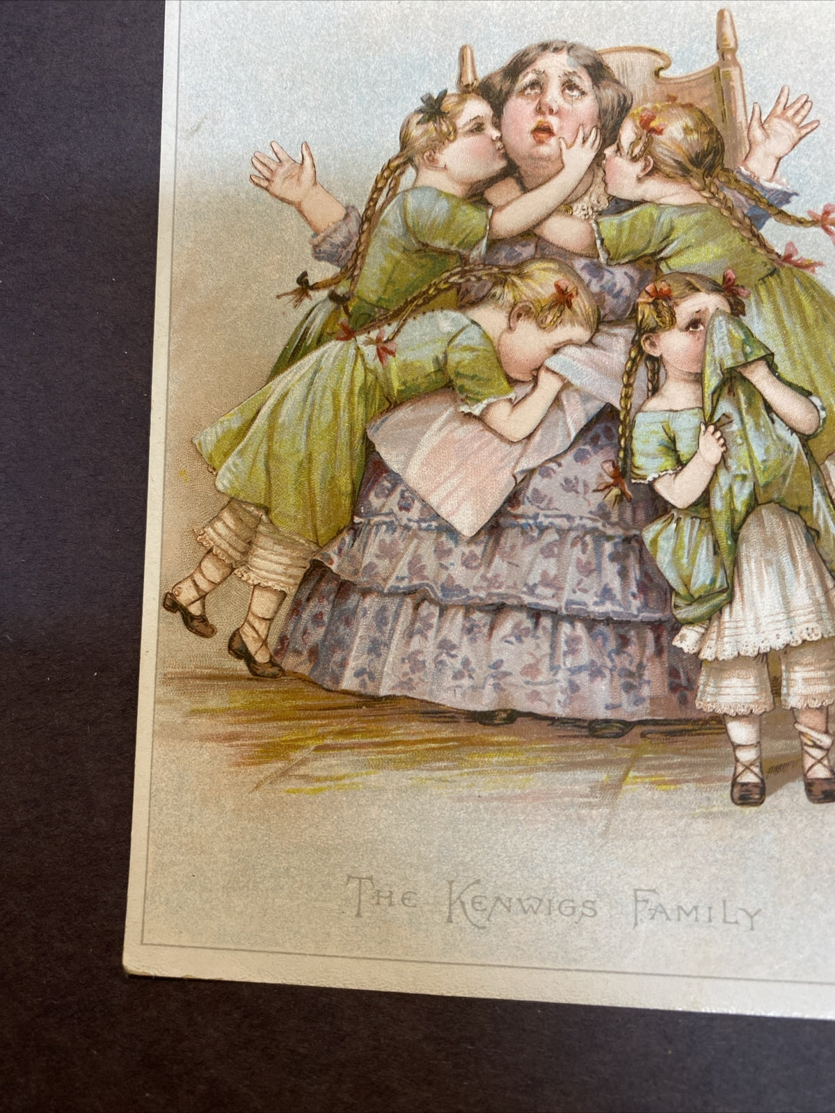 Herpolsheimer's Grand Rapids Michigan MI Advertising Victorian Trade Card Kenwig