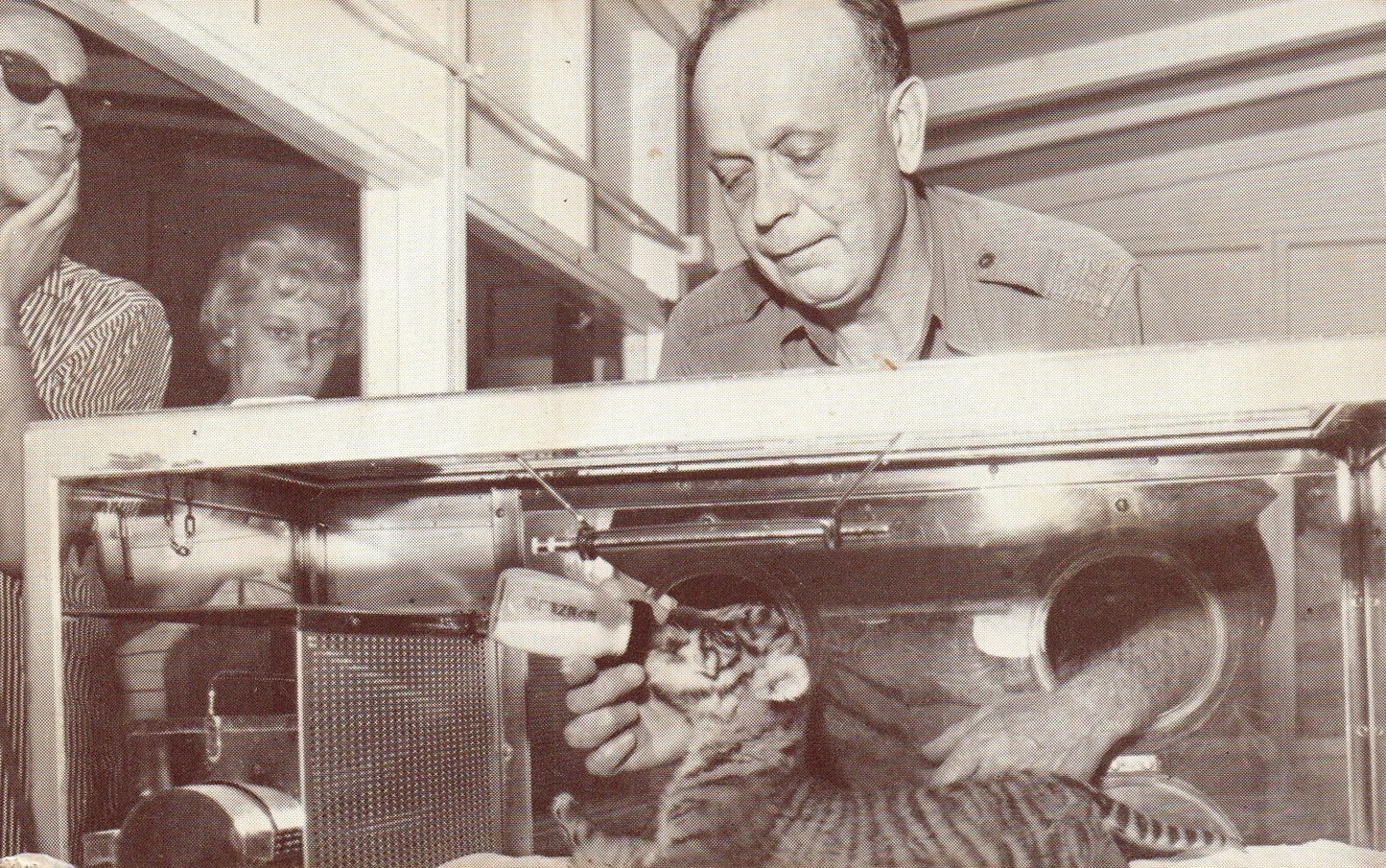 Man Feeding Baby Tiger in Lincoln Park Zoo Chicago Animal Postcard