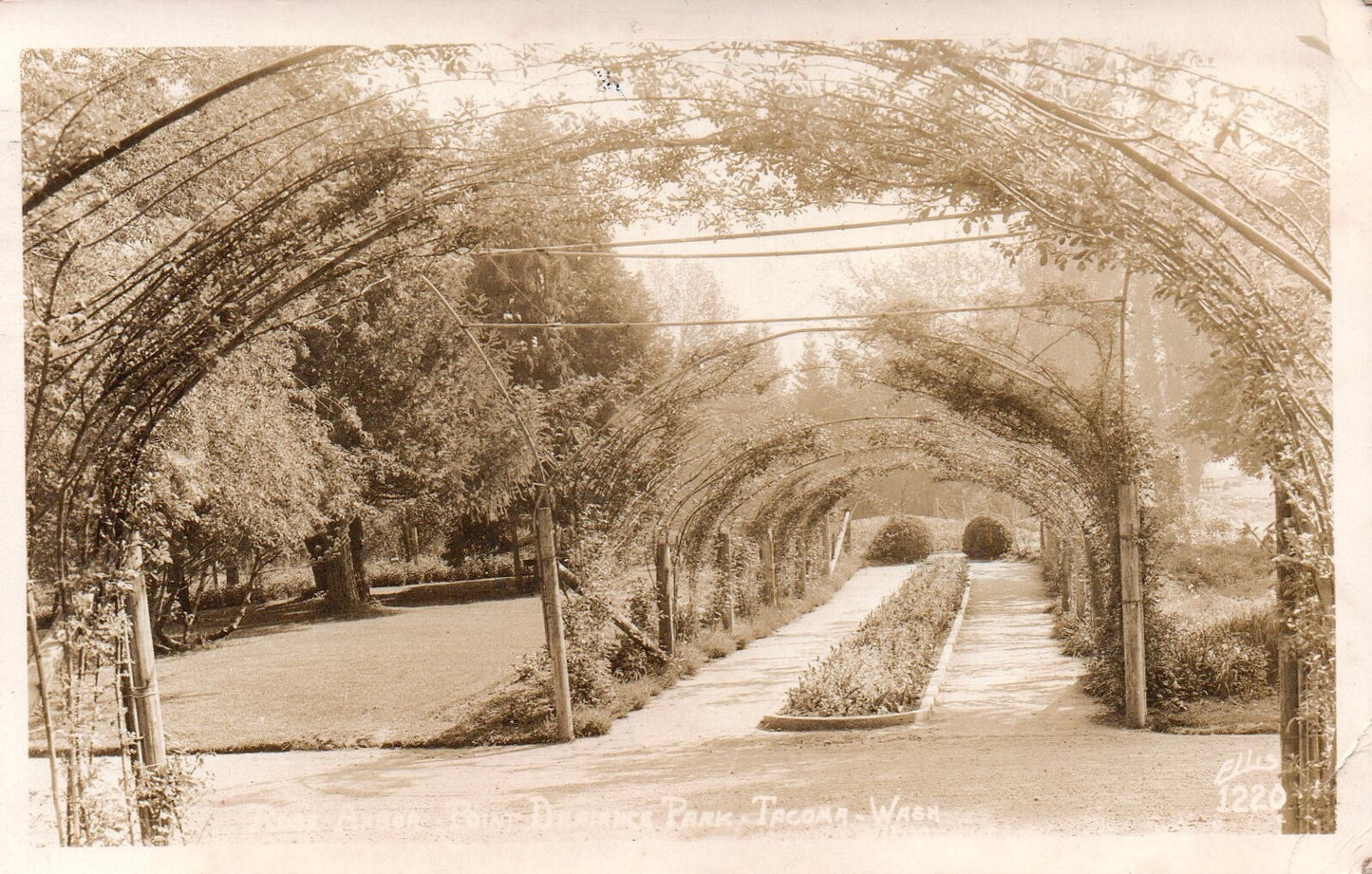 Rose Arbor Point Defiance Park in Tacoma WA Washington Postcard