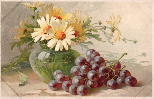 Artist Signed Catherine Klein Flowers and Grapes