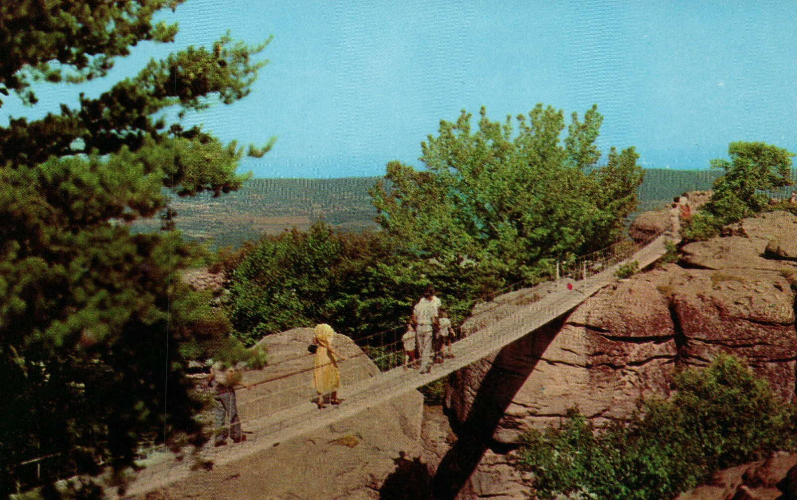 Swinging Bridge Rock City Lookout Mountain View TN Tennessee Postcard