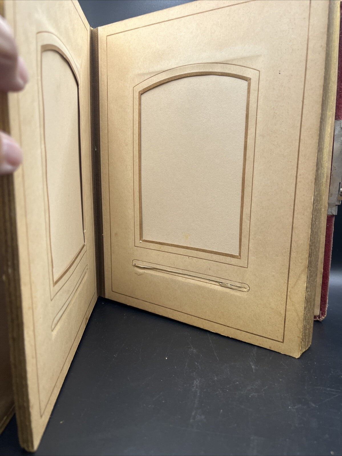 Antique Victorian Celluloid Photo Album