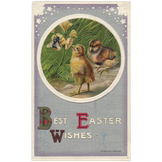 1910 Beautiful John Winsch Easter chicks watch Bee Vintage Postcard