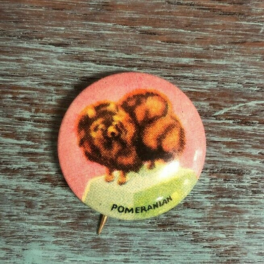 Vintage Pomeranian Litho Pin 