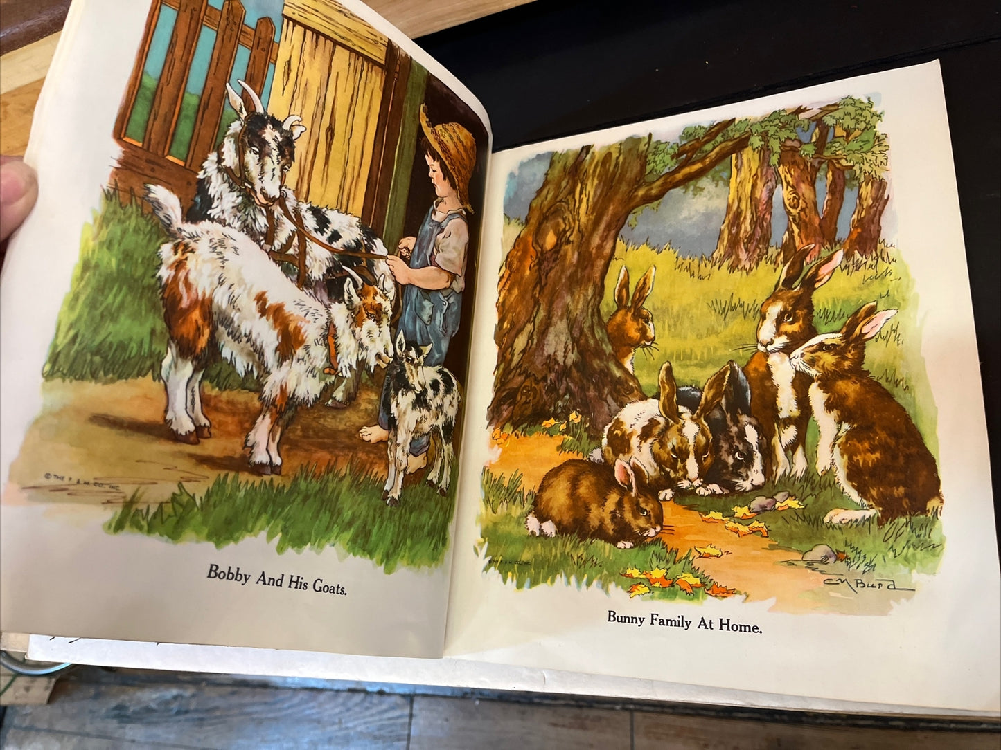 RARE 1927 OUR ANIMAL FRIENDS, Platt and Munk, LINEN Very Good +++ condition