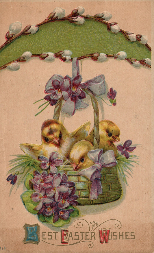 Chick Basket Violets Easter Chick Postcard