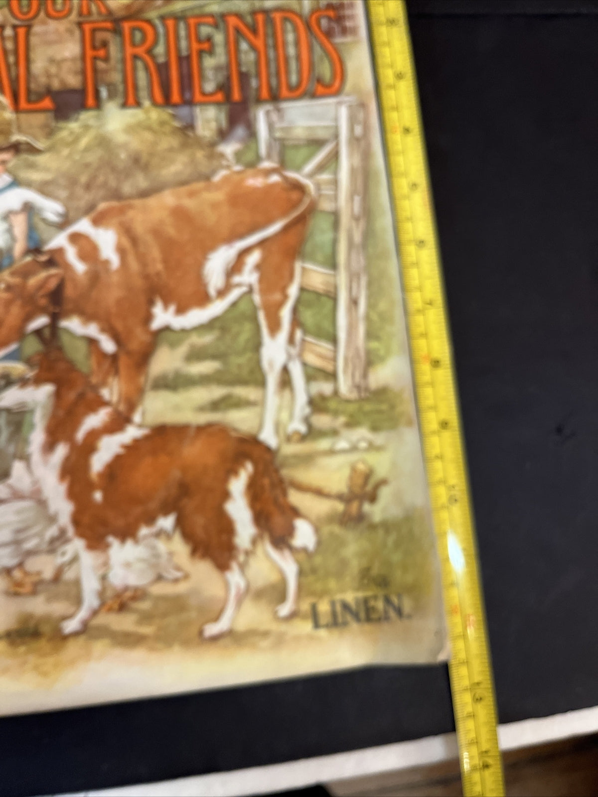 RARE 1927 OUR ANIMAL FRIENDS, Platt and Munk, LINEN Very Good +++ condition