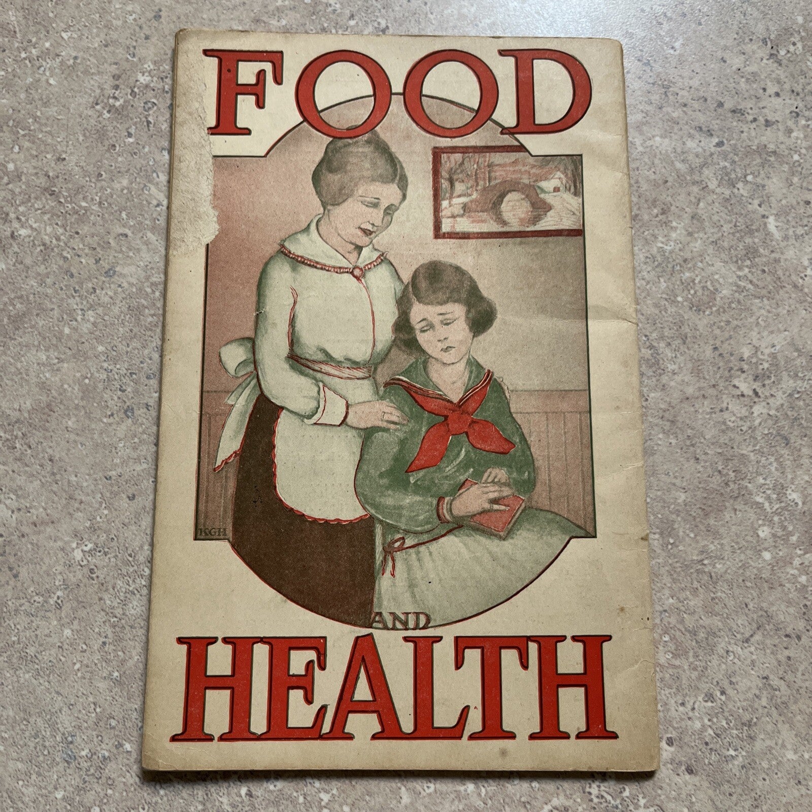 Vintage 1920s Lydia Pinkham Food Health Recipes Booklet Book 