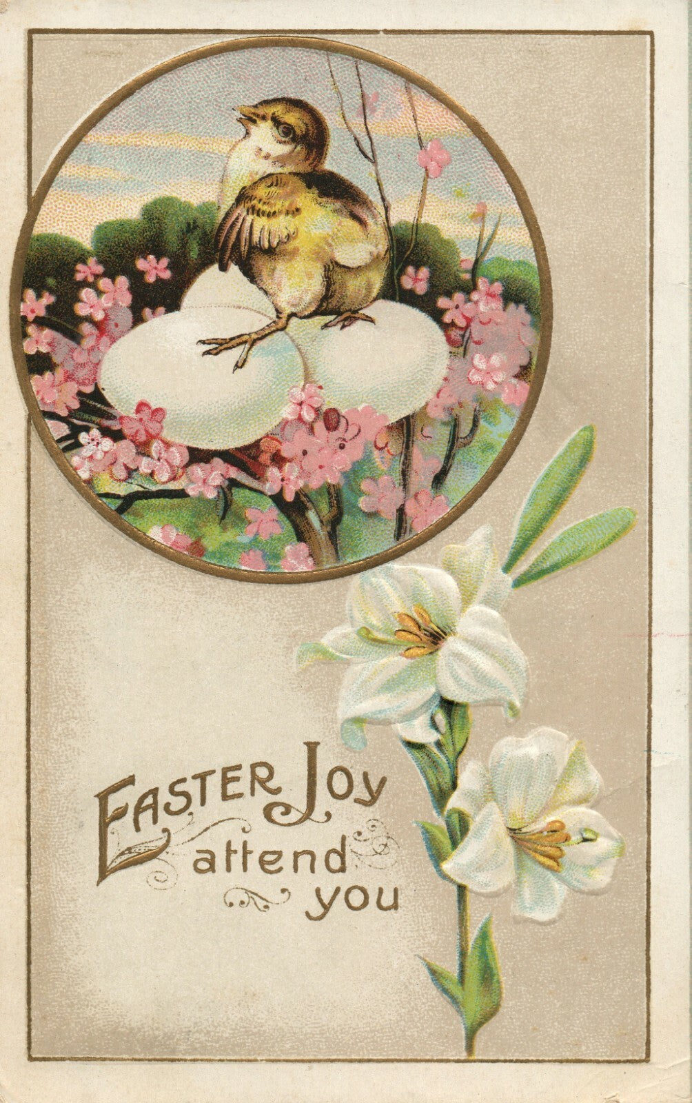 Chick Sitting On Egg Lilly Series 100 Easter Postcard
