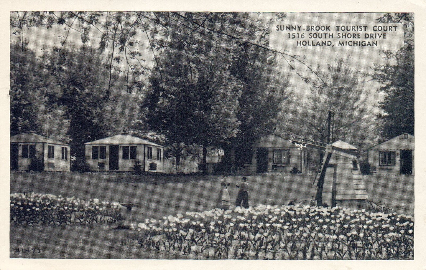 Sunny Brook Tourist Court in Holland Michigan Mich MI Postcard