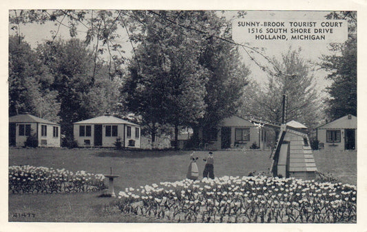 Sunny Brook Tourist Court in Holland Michigan Mich MI Postcard