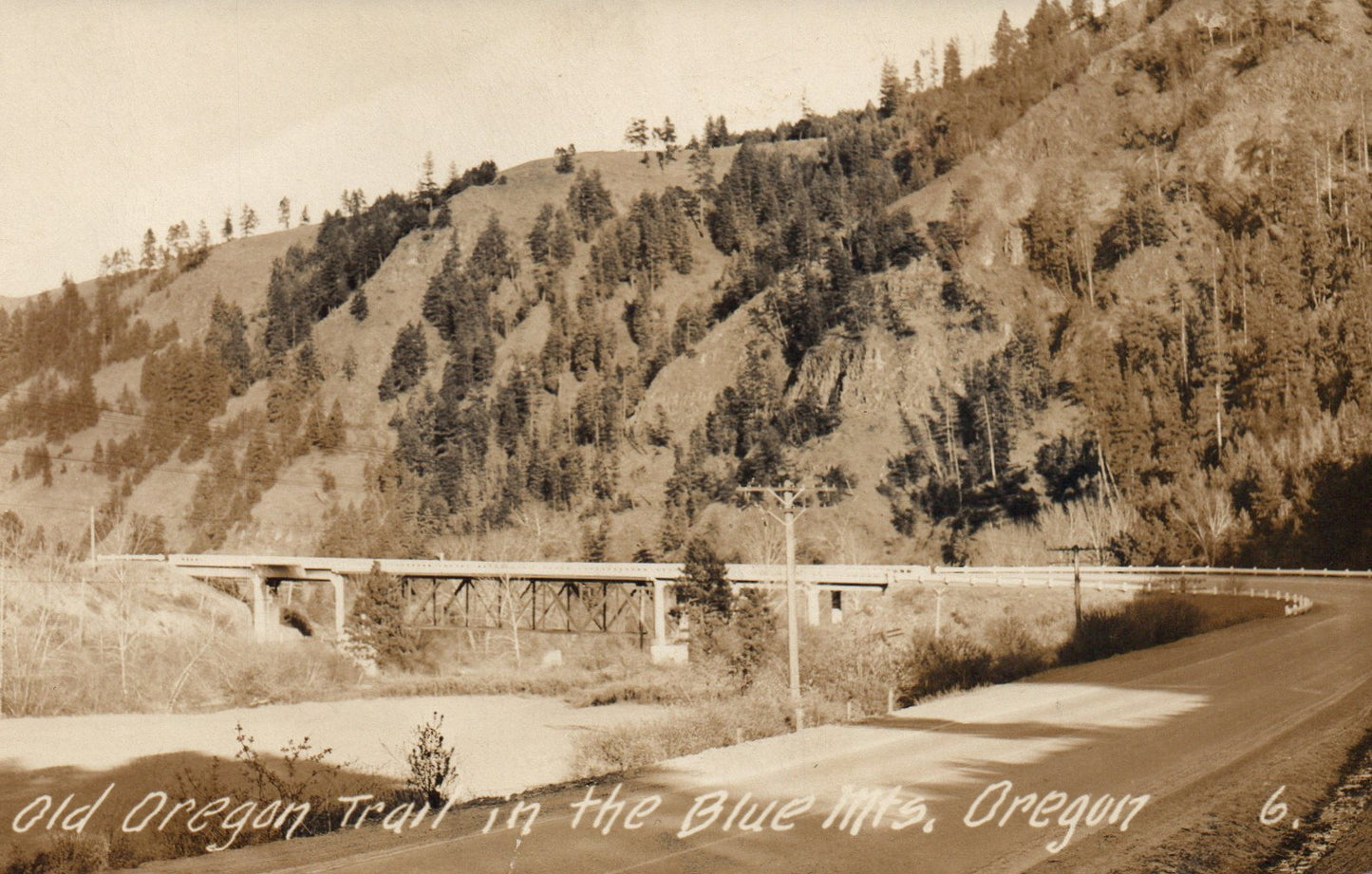 Old Oregon Trail in the Blue Mountains Oregon OR Real Photo Post Card RPPC
