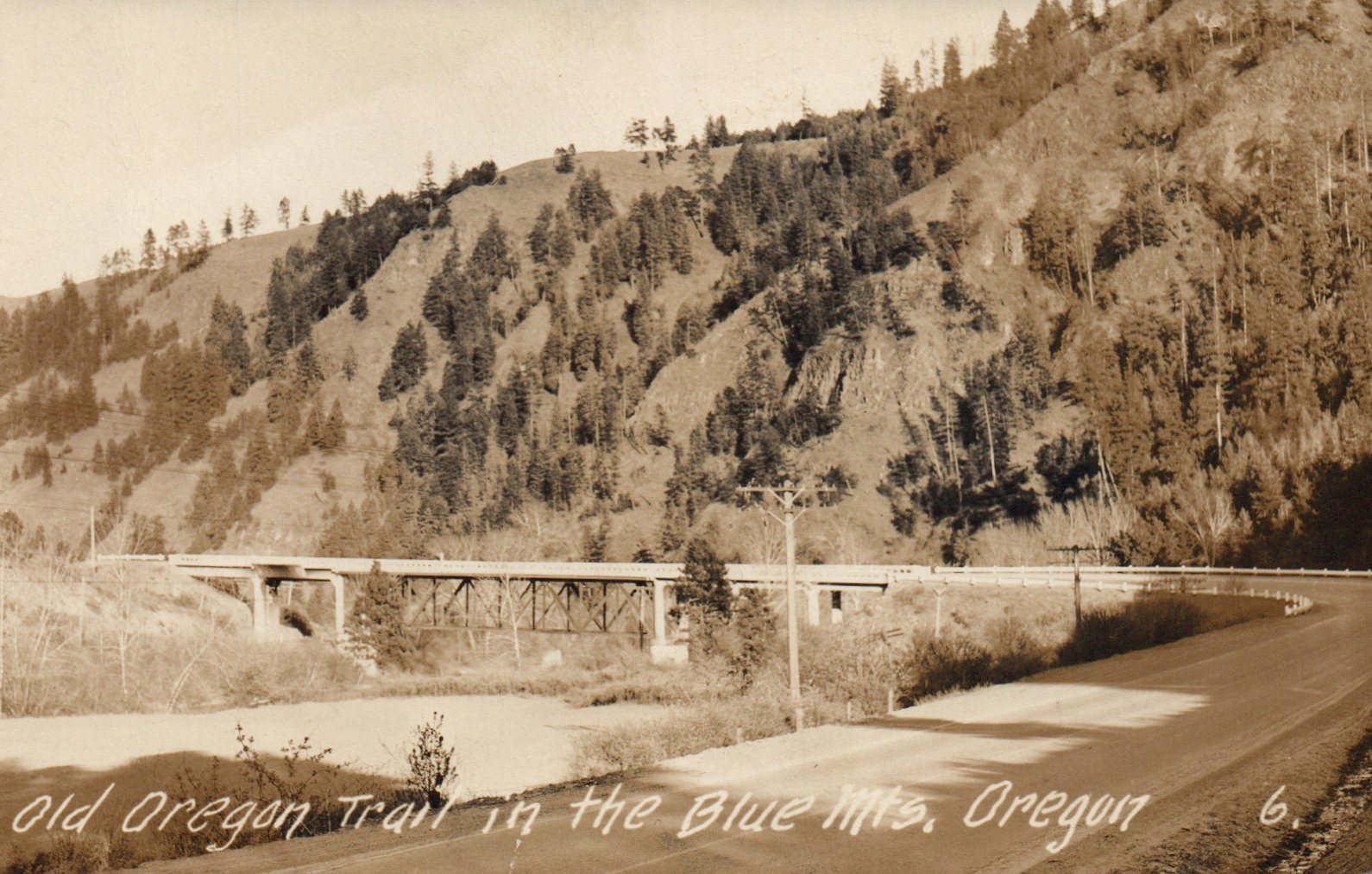 Old Oregon Trail in the Blue Mountains Oregon OR Real Photo Post Card RPPC