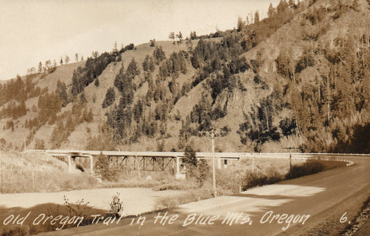 Old Oregon Trail in the Blue Mountains Oregon OR Real Photo Post Card RPPC
