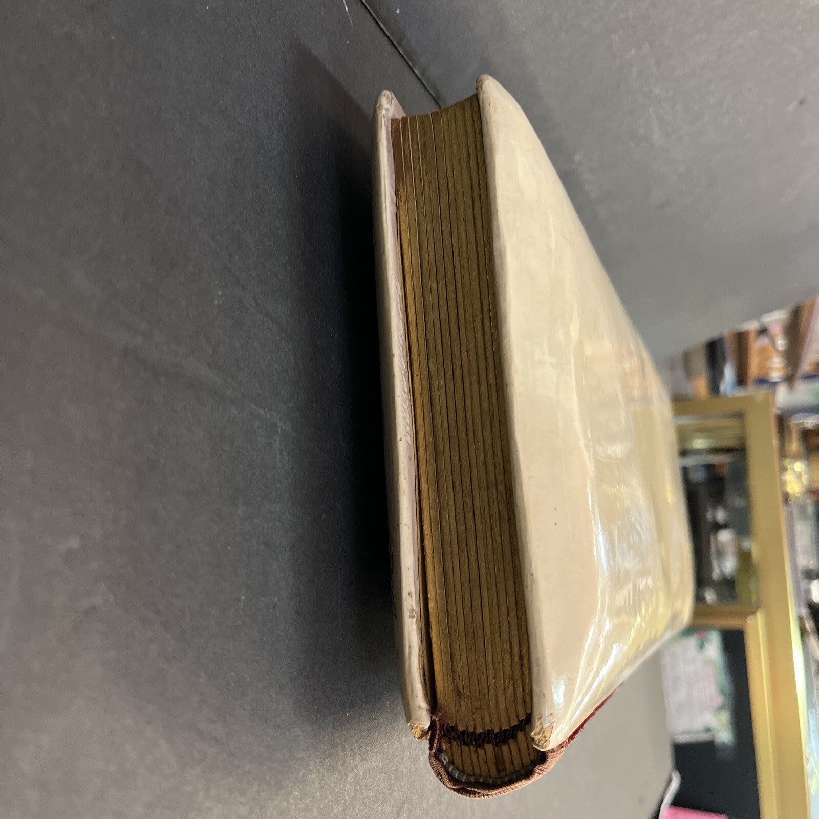 Vintage photograph photo album