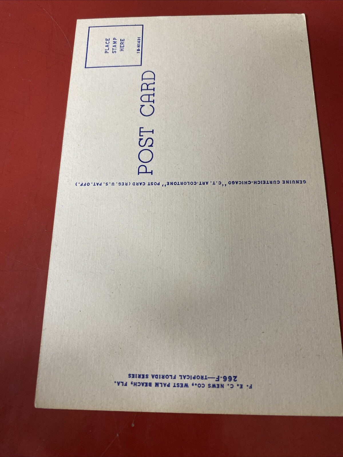 Northern Exposure Baby Boy on beach Surf with Black Scotty dog Vintage Postcard