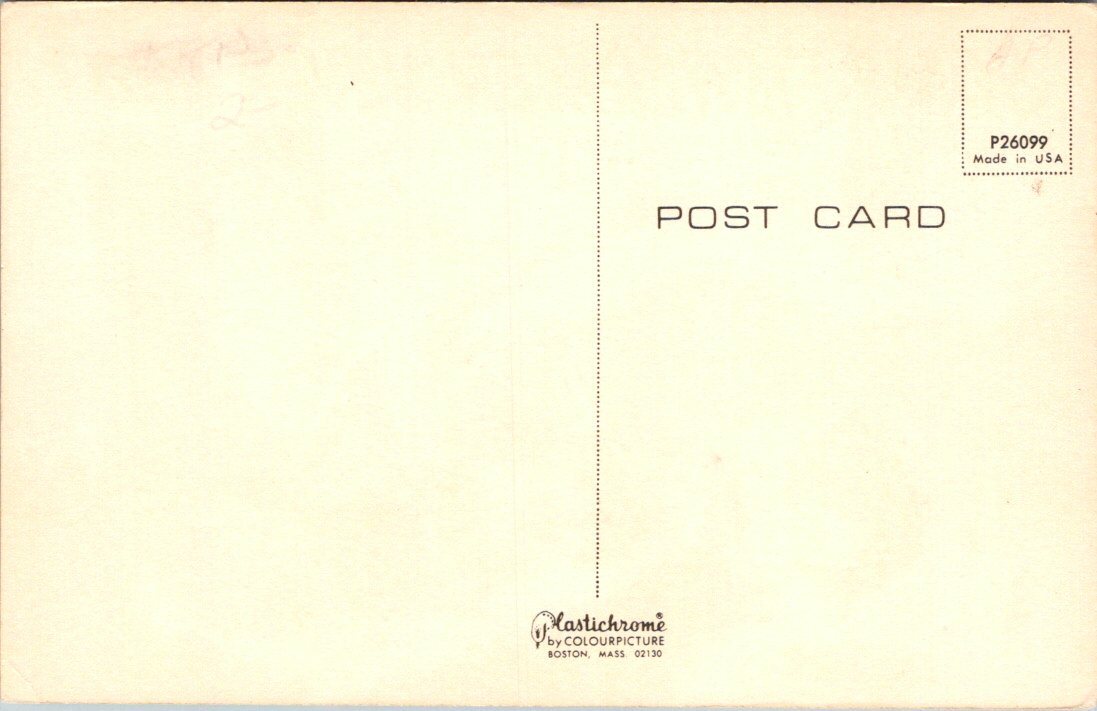 Some Fishermen Never Quit Skelton Fishing Comic P26099 Postcard