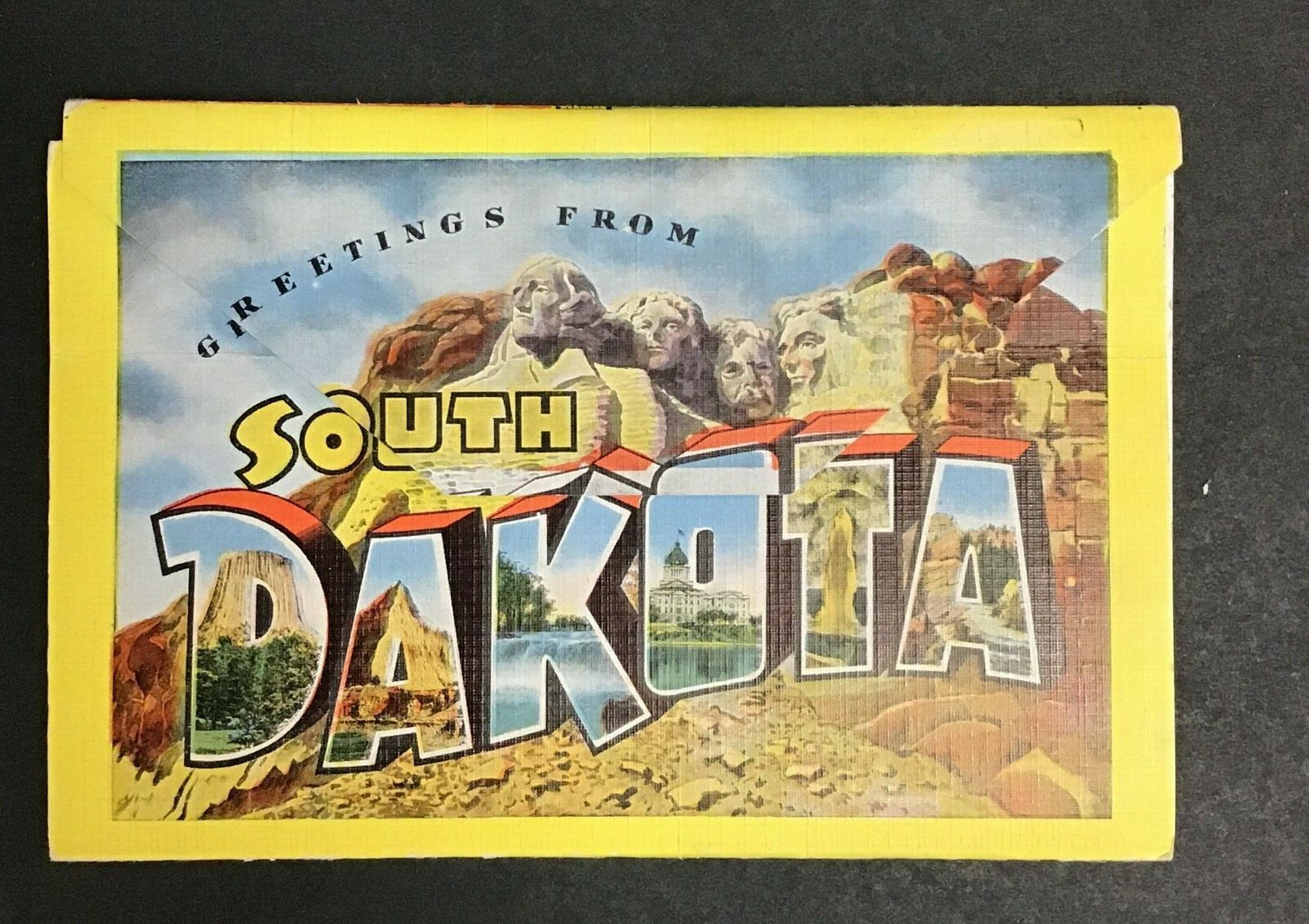 South Dakota Greetings Pheasant Mount Rushmore Postcard Souvenir Folder