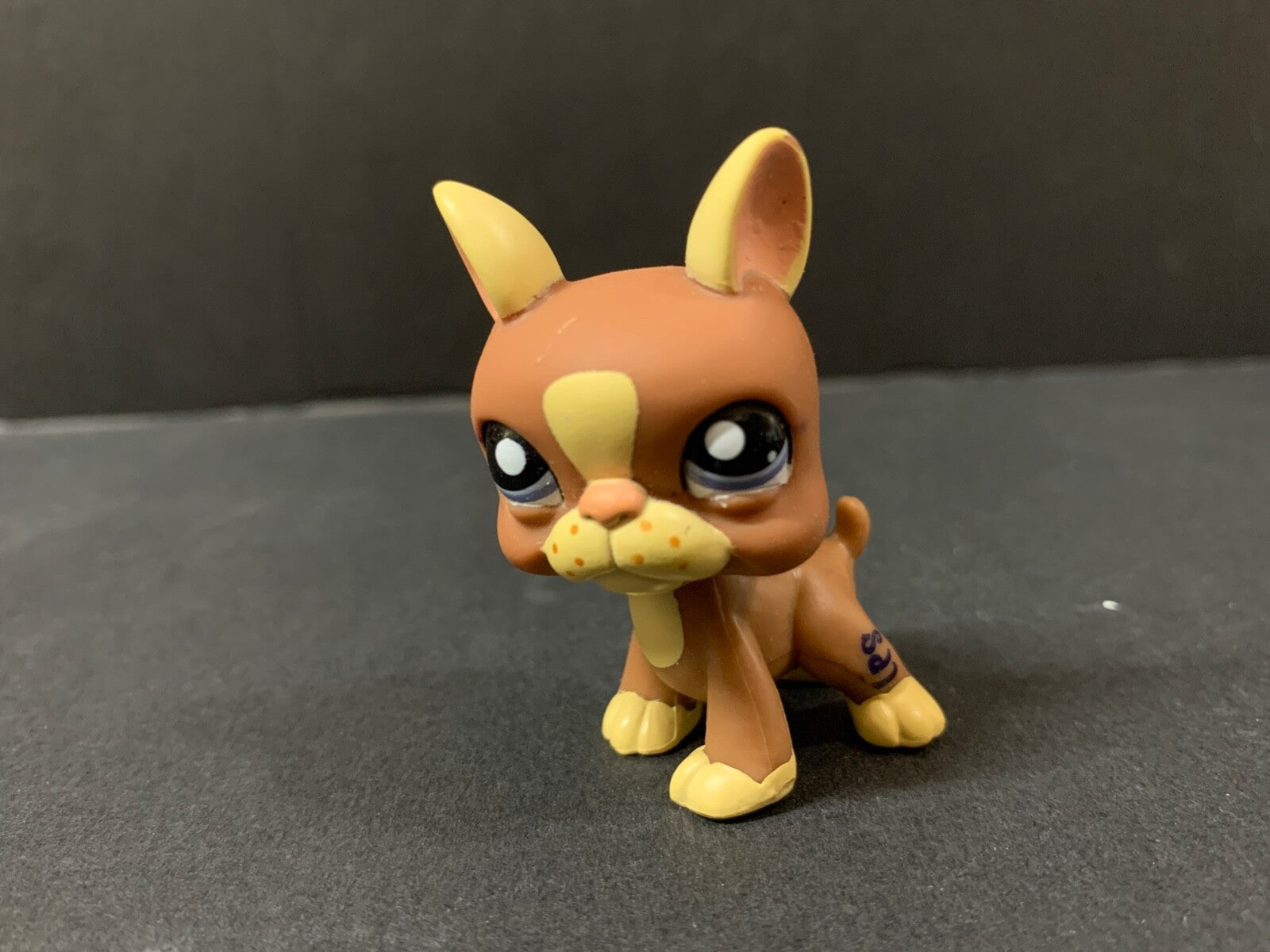 Littlest Pet Shop #1789 Brown & Tan Boston Terrier Dog Authentic LPS Dog