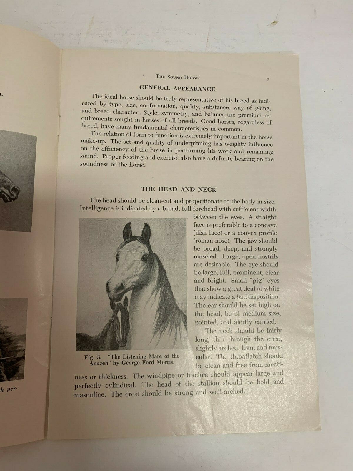 The Sound Horse Extension Bulletin 330 Michigan State East Lansing MI Michigan