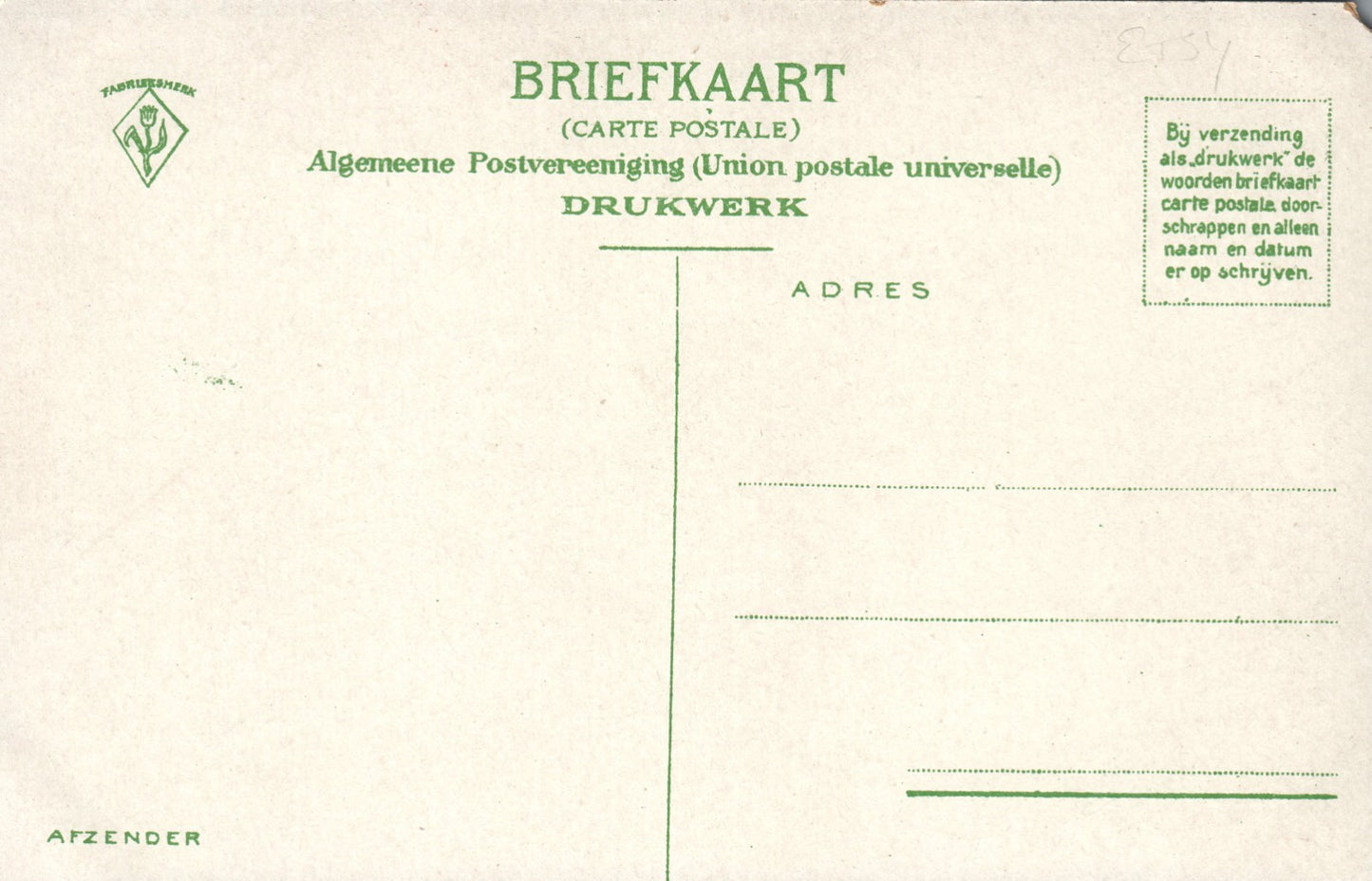 Boy selling Pole of Flowers Vintage Postcard