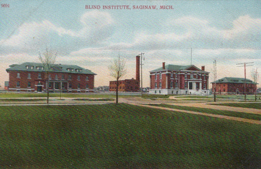 Blind Institute Saginaw Michigan MI Mich Postcard 9691