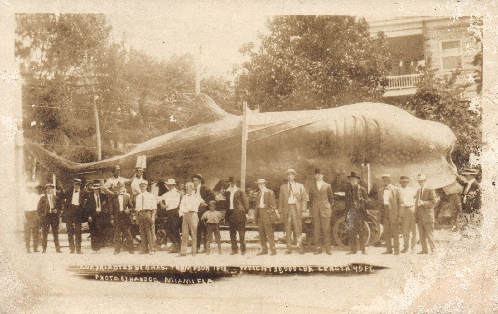 Real Photo Men Standing in Front of Plane Florida FLA FL Postcard