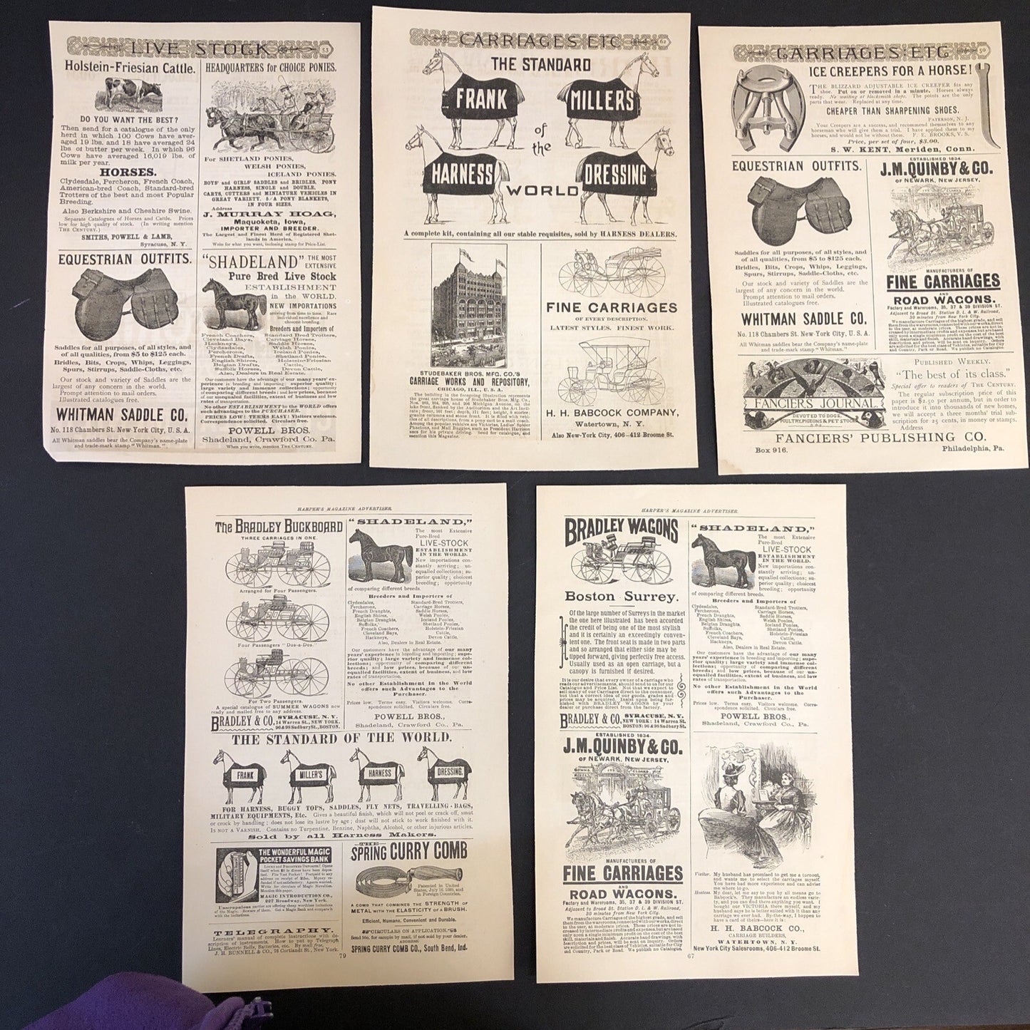 Horses Carriages Wagons Cattle 5 pages 1891 Harpers Magazine Advertisements Ads