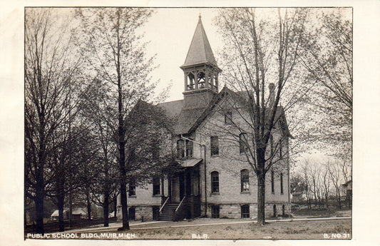 Public School Building in Muir MI Mich Michigan Postcard Real Photo