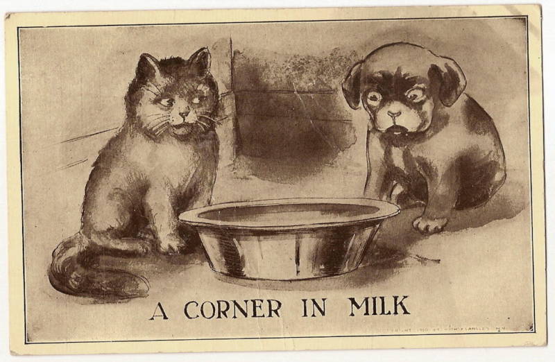 Artist Signed Roth Langley Kitten Puppy "A Corner in Milk" Dog Animal Postcard