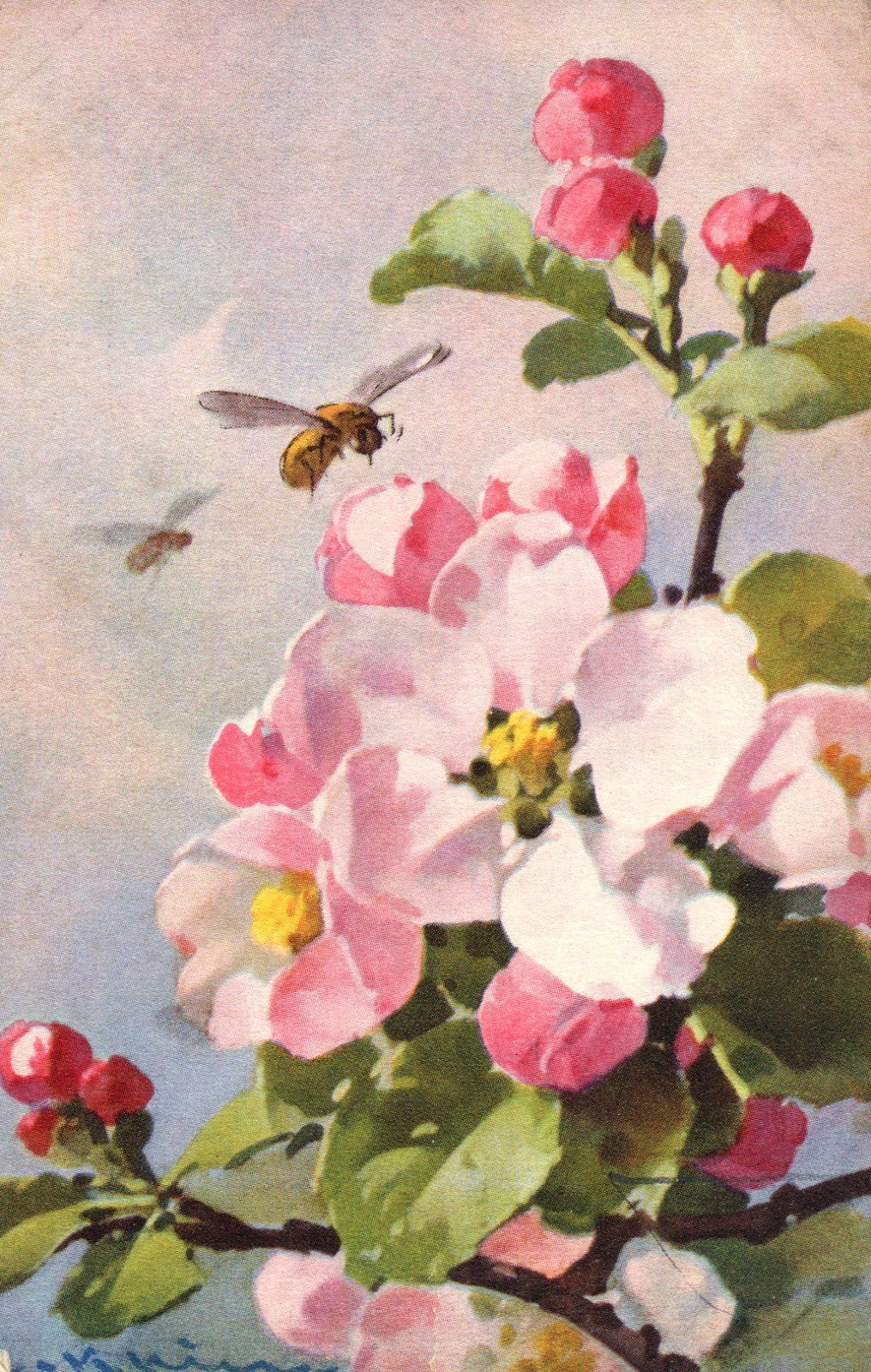 Artist Signed Catherine Klein Apple Blossom Flowers Bees Switzerland Series 1239