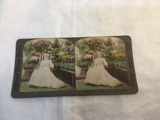 1900 Real Photo wife of President William McKinley Conservatory  stereoview