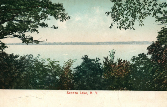 Seneca Lake Scenic View New York NY Postcard