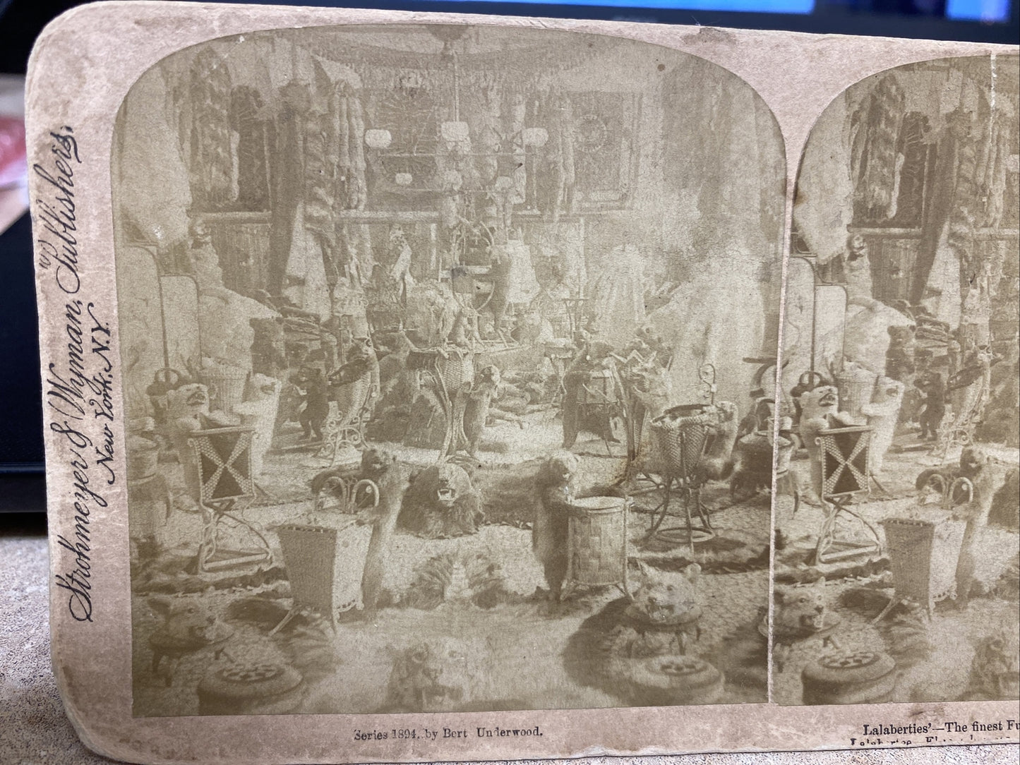 THE FINEST FUR PARLOR IN THE WORLD, QUEBEC. POLYCHROME STEREOVIEW Color Card